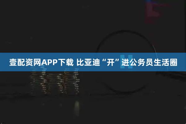 壹配资网APP下载 比亚迪“开”进公务员生活圈