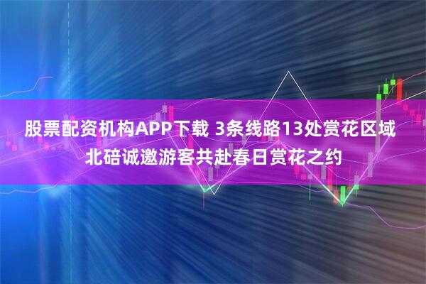 股票配资机构APP下载 3条线路13处赏花区域 北碚诚邀游客共赴春日赏花之约