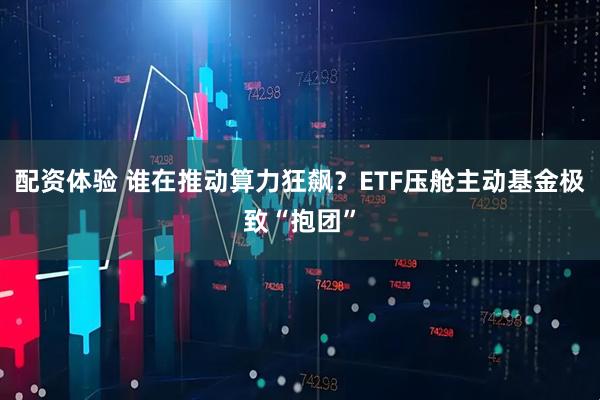 配资体验 谁在推动算力狂飙？ETF压舱主动基金极致“抱团”